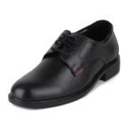 Red Chief Genuine Leather Formal Derby Shoes for Men | Elegant & Comfortable Office Wear | RC3501